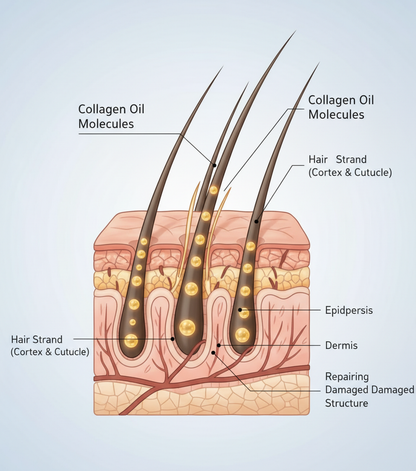 Collagen Repair Essential Oil 50ml